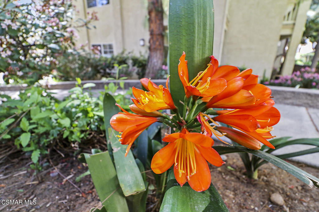 5837 Oak Bend Lane, Unit 302 Oak Park, CA 91377 - Photo 28 of 59 an aerial view of a house with swimming pool and large trees