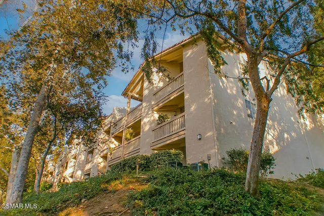 a view of yard with trees
