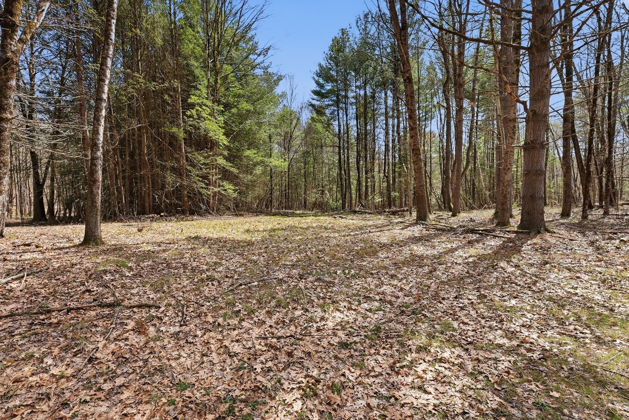 0 Dry Hill Road Montague, MA 01351 - Photo 9 of 9 Gallery Image 9