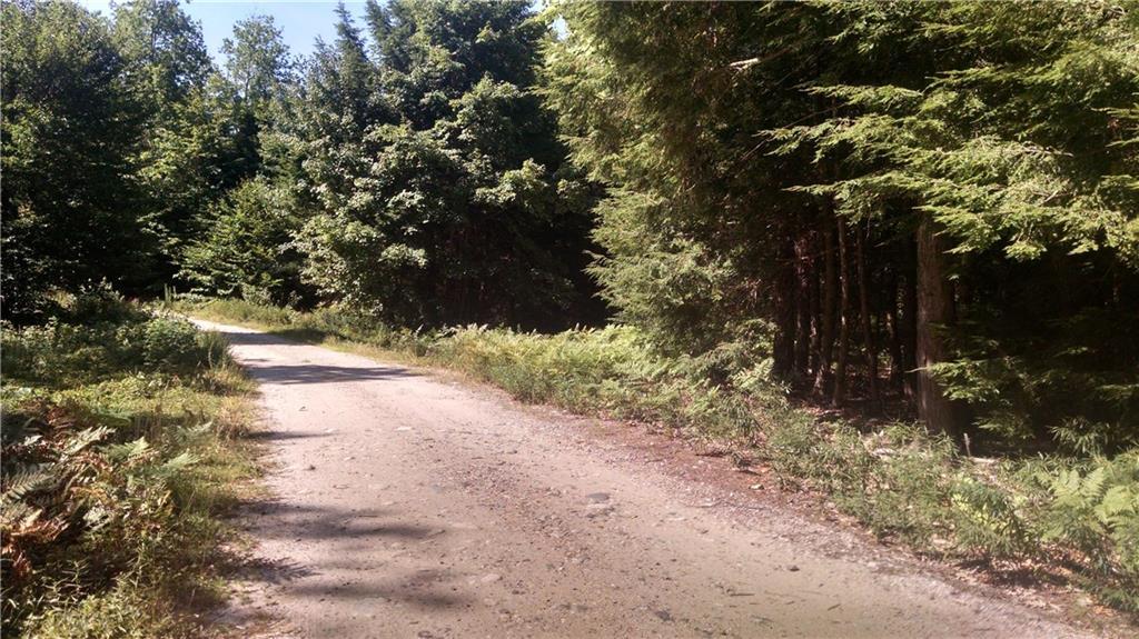 Lot 4 Boundary Road Steep Falls, ME 04085 - Photo 12 of 12 View of shared driveway to access...