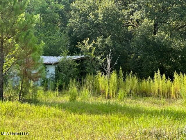 13753 John Lee Road Biloxi, MS 39532 - Photo 14 of 20 SHED