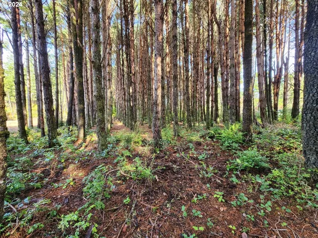 a view of outdoor space with garden