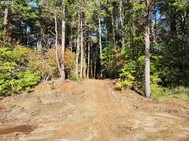 a view of a backyard of the house