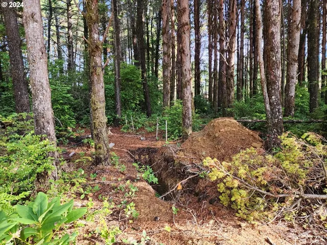 a view of backyard with green space