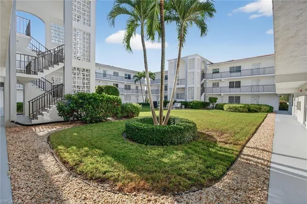 a view of a garden with a palm trees