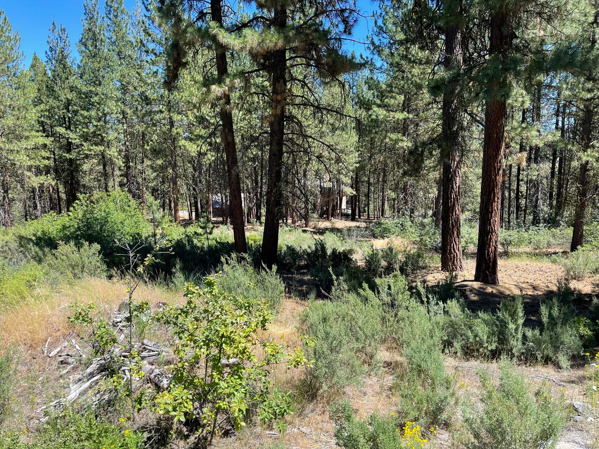South Waterview Way Chiloquin, OR 97624 - Photo 5 of 15 IMG_4043