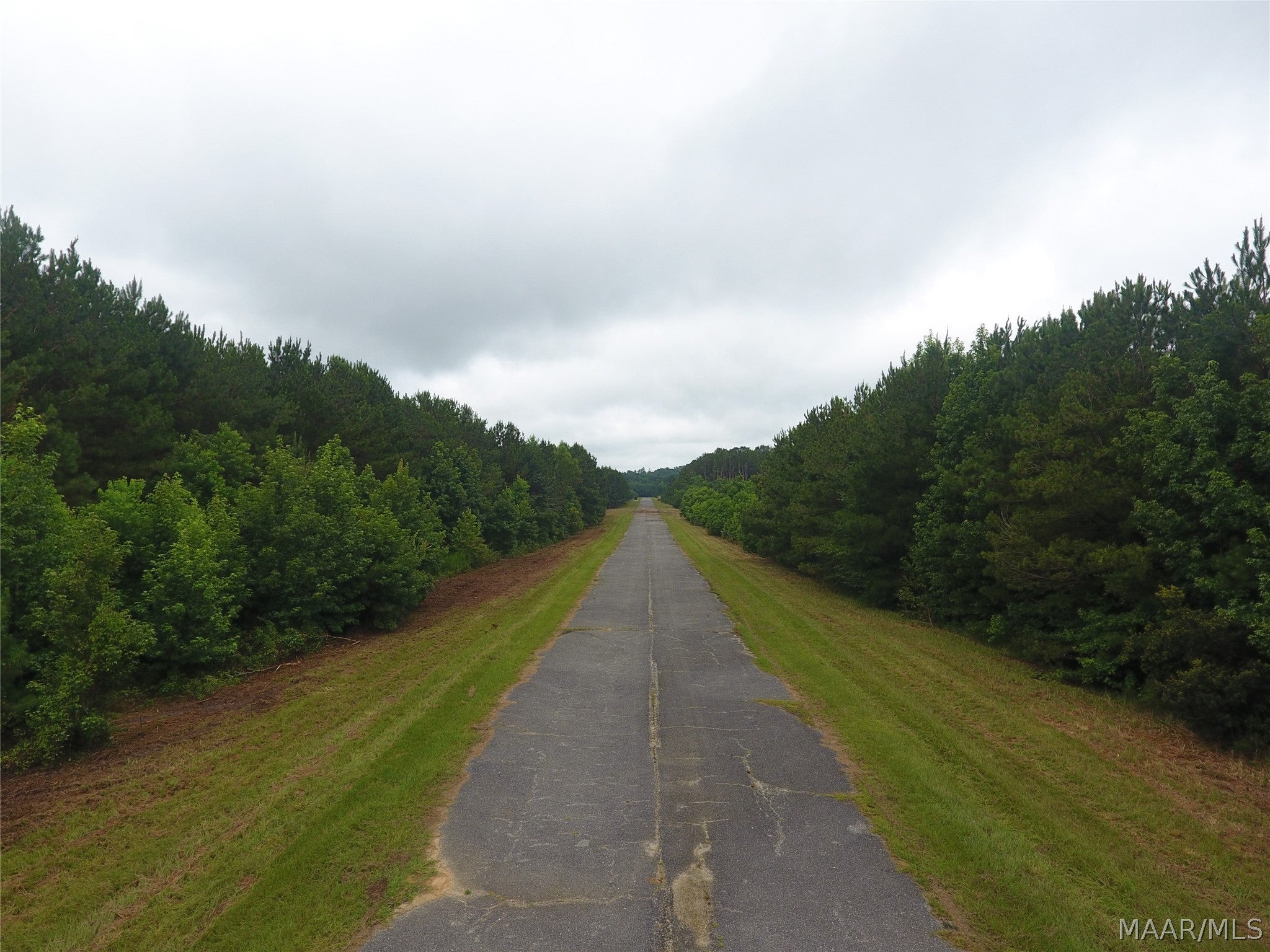 64 Airport Road Lapine, AL 36046 - Photo 2 of 14 Gallery Image 2