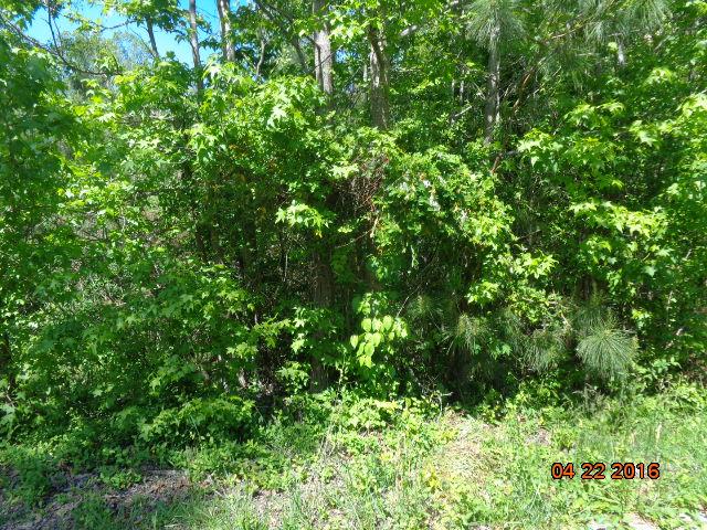 206 C-10-147F Anderson, SC 29621 - Photo 2 of 2 Gallery Image 2