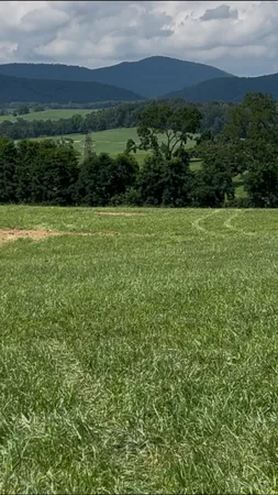 a view of yard with green space