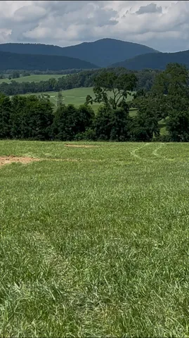 a view of yard with green space