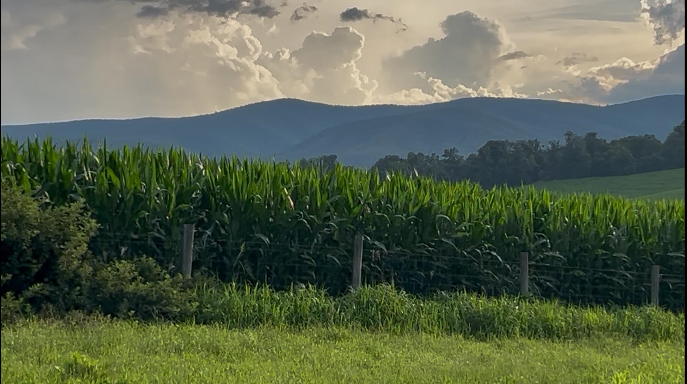 Tbd Roudabush Lane Churchville, VA 24421 - Photo 2 of 18 a view of a lush green hillside and a houses