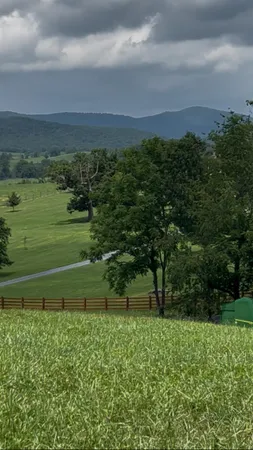 a view of a grassy area with an ocean view