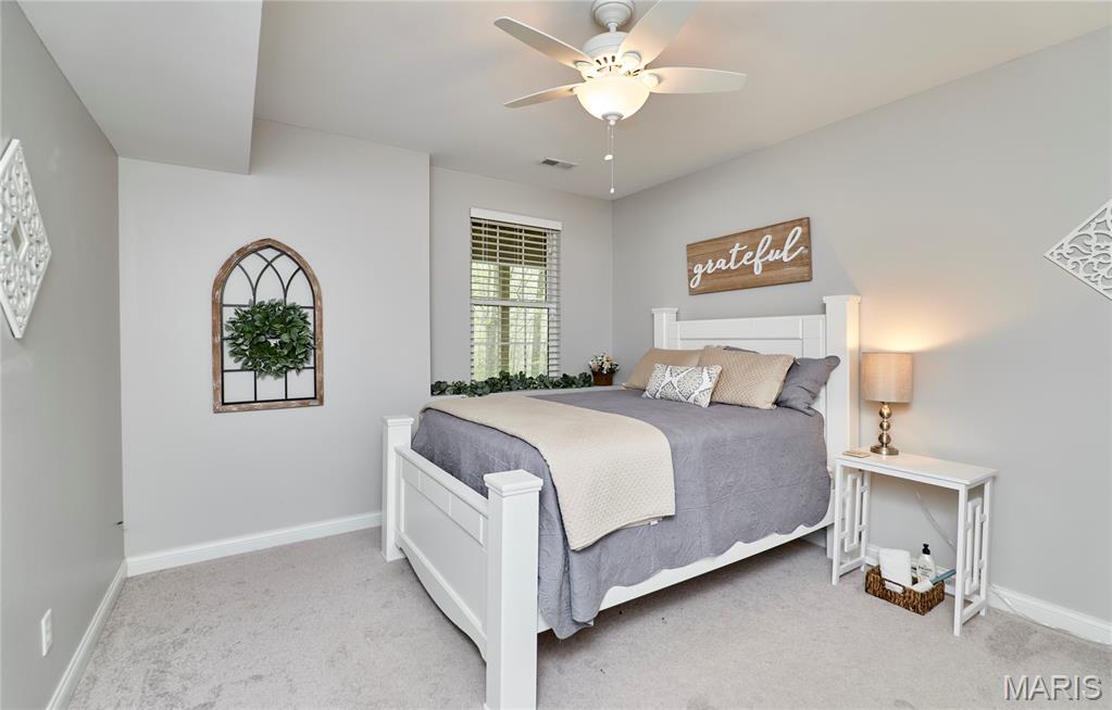 1275 Diamond Valley Drive High Ridge, MO 63049 - Photo 42 of 61