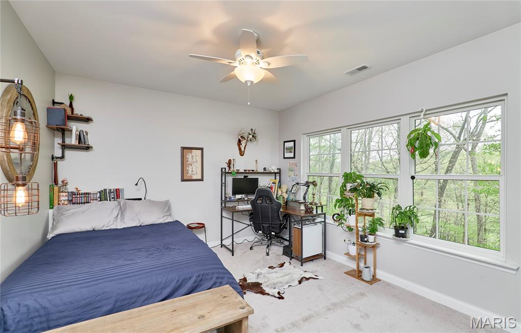 1275 Diamond Valley Drive High Ridge, MO 63049 - Photo 43 of 61