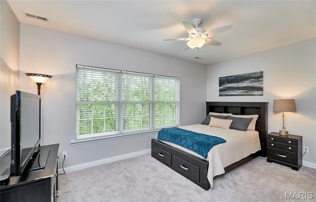 1275 Diamond Valley Drive High Ridge, MO 63049 - Photo 45 of 61