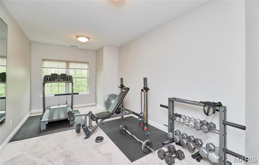 1275 Diamond Valley Drive High Ridge, MO 63049 - Photo 48 of 61