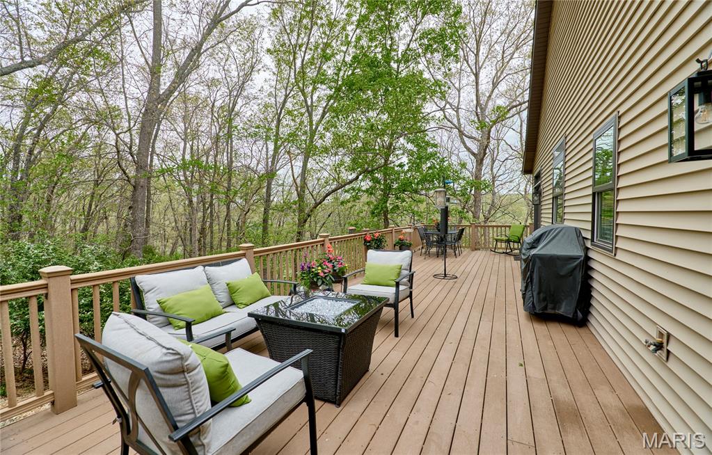 1275 Diamond Valley Drive High Ridge, MO 63049 - Photo 53 of 61