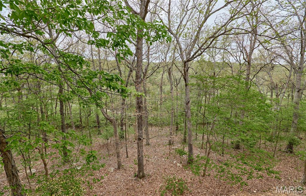 1275 Diamond Valley Drive High Ridge, MO 63049 - Photo 57 of 61