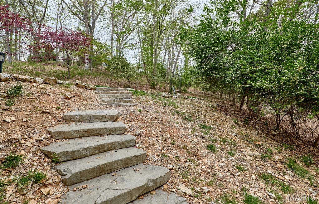 1275 Diamond Valley Drive High Ridge, MO 63049 - Photo 58 of 61