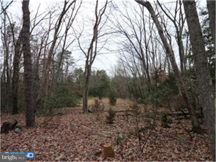 151 Friendship Road Southampton, NJ 08088 - Photo 16 of 25