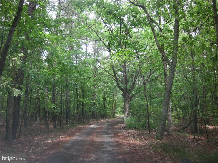 151 Friendship Road Southampton, NJ 08088 - Photo 19 of 25
