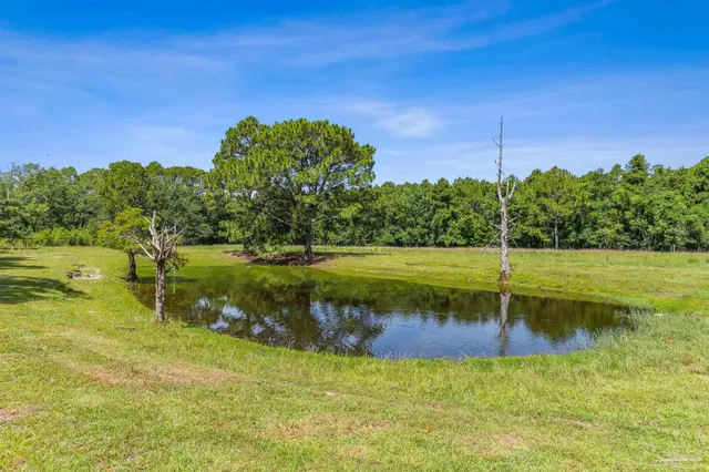 a view of a lake with a yard