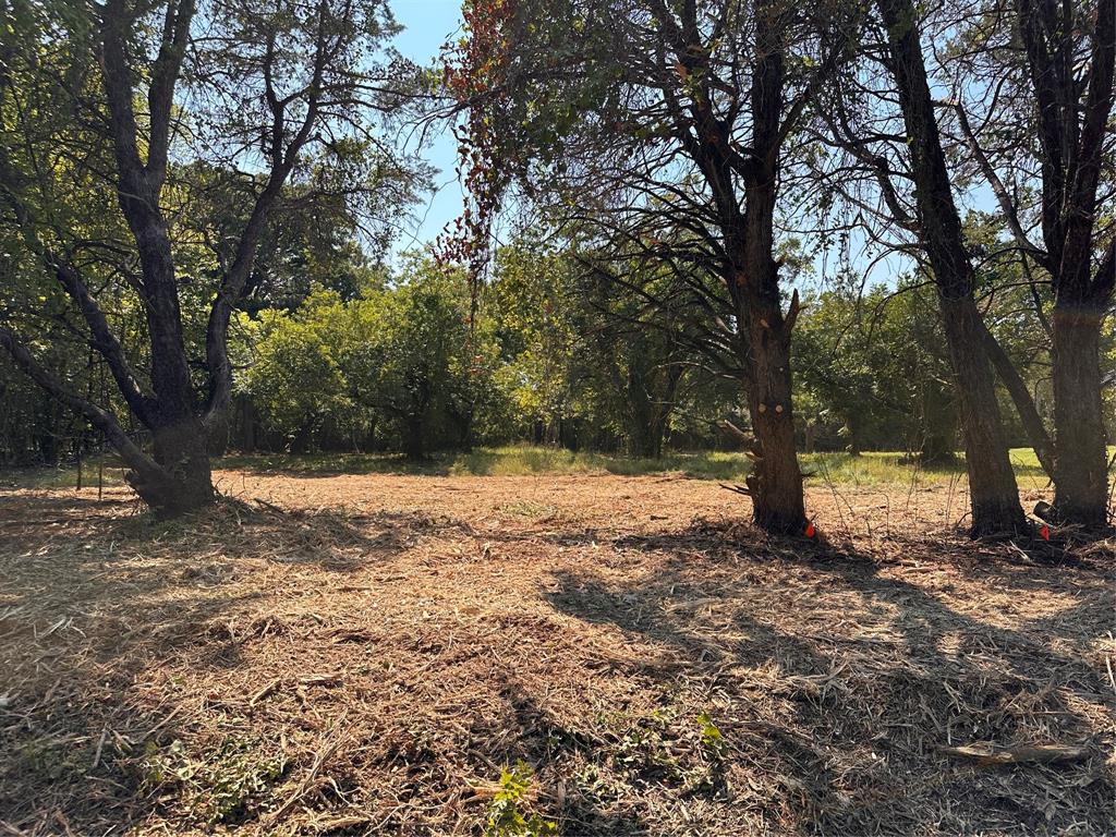 402 South Shady Shores Road Shady Shores, TX 76208 - Photo 14 of 25