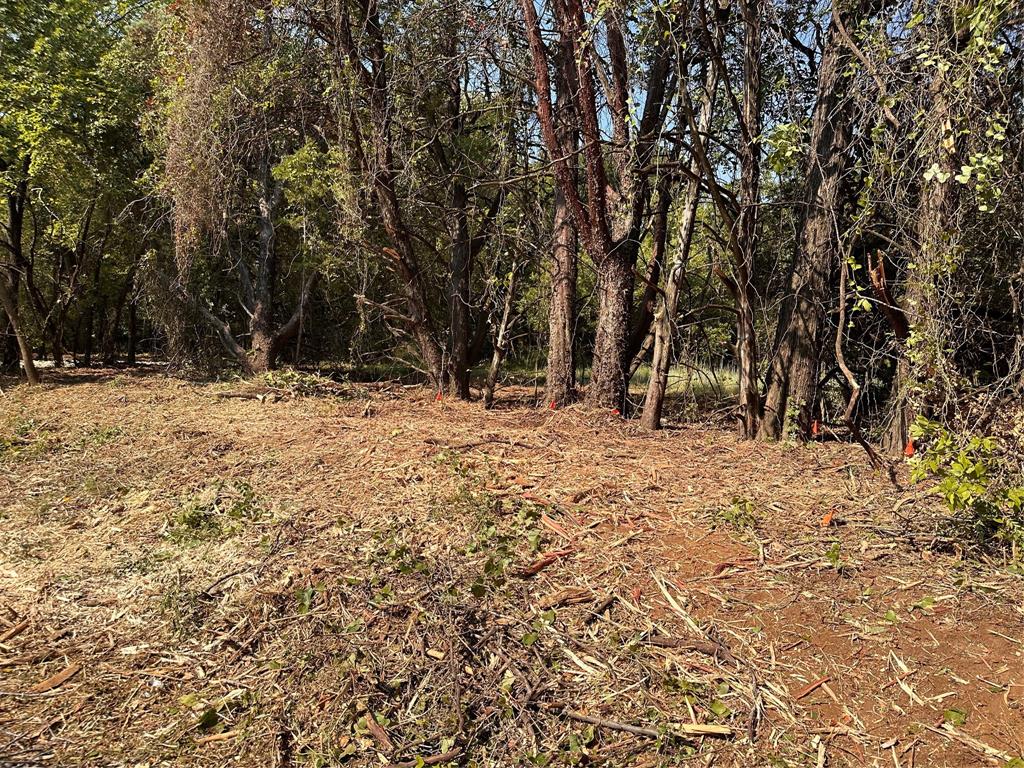 402 South Shady Shores Road Shady Shores, TX 76208 - Photo 15 of 25