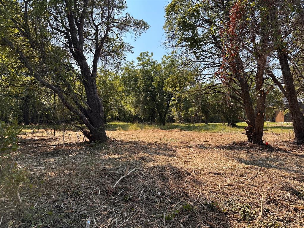 402 South Shady Shores Road Shady Shores, TX 76208 - Photo 17 of 25