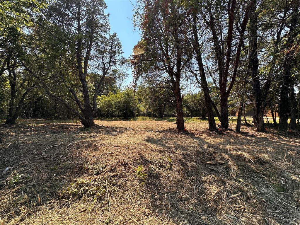 402 South Shady Shores Road Shady Shores, TX 76208 - Photo 5 of 25