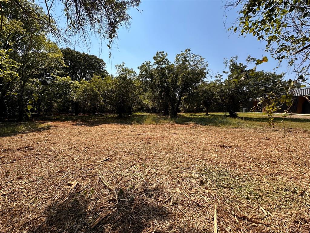 402 South Shady Shores Road Shady Shores, TX 76208 - Photo 6 of 25 View of yard