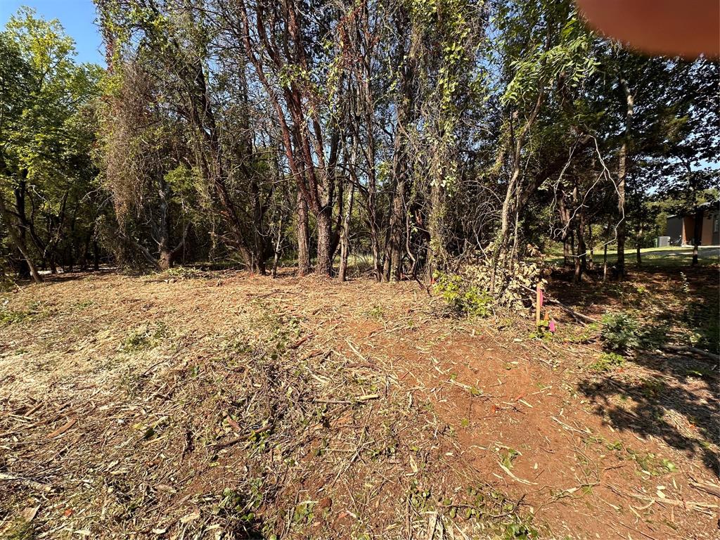 402 South Shady Shores Road Shady Shores, TX 76208 - Photo 7 of 25