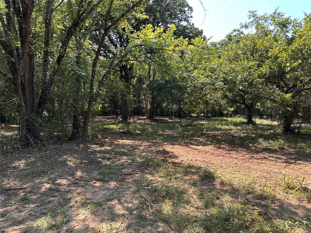 402 South Shady Shores Road Shady Shores, TX 76208 - Photo 9 of 25