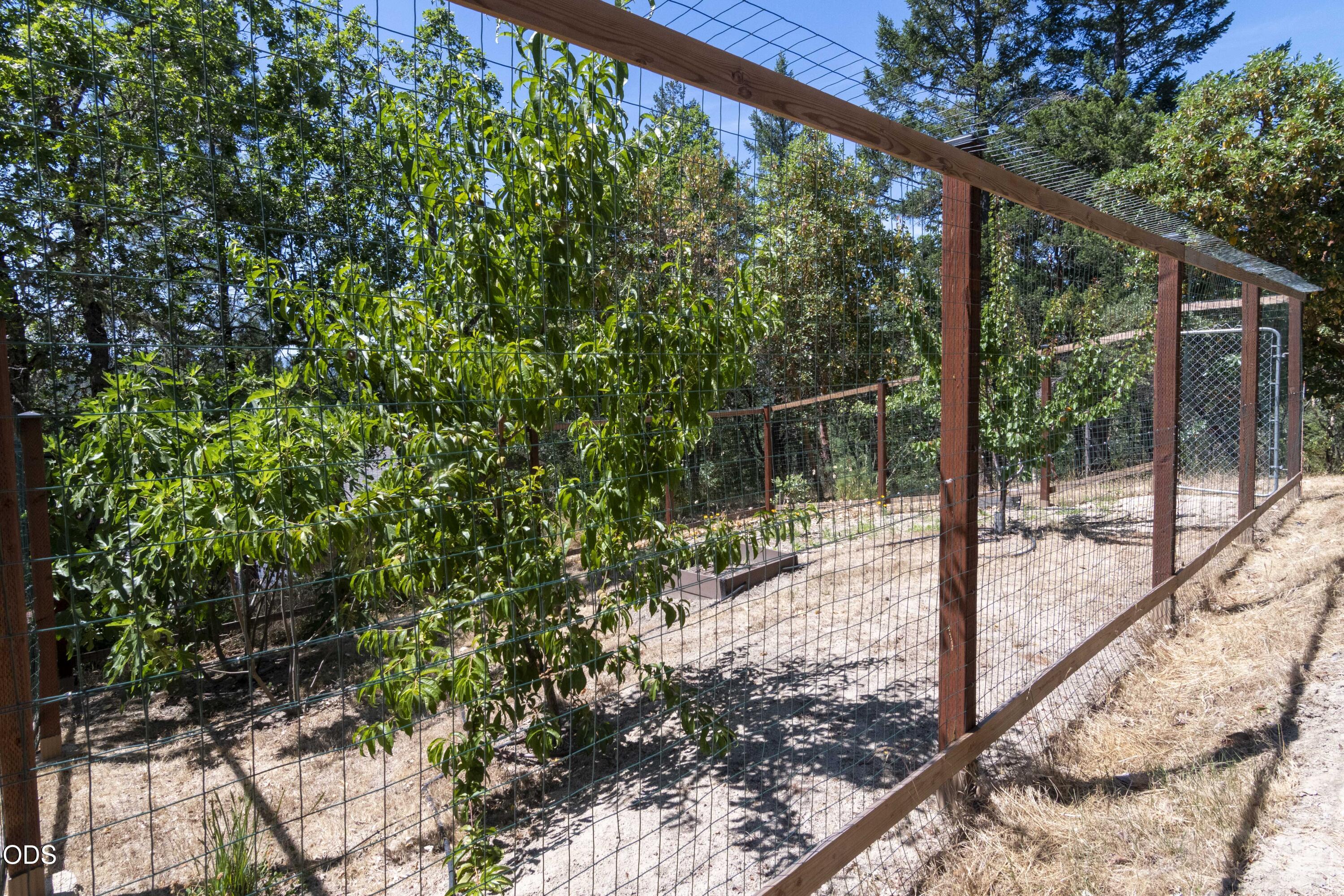 712 Colleen Court Grants Pass, OR 97527 - Photo 51 of 67
