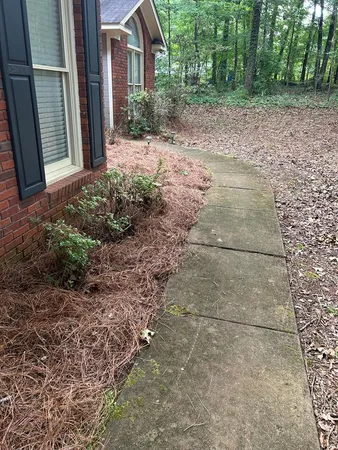 a view of a backyard