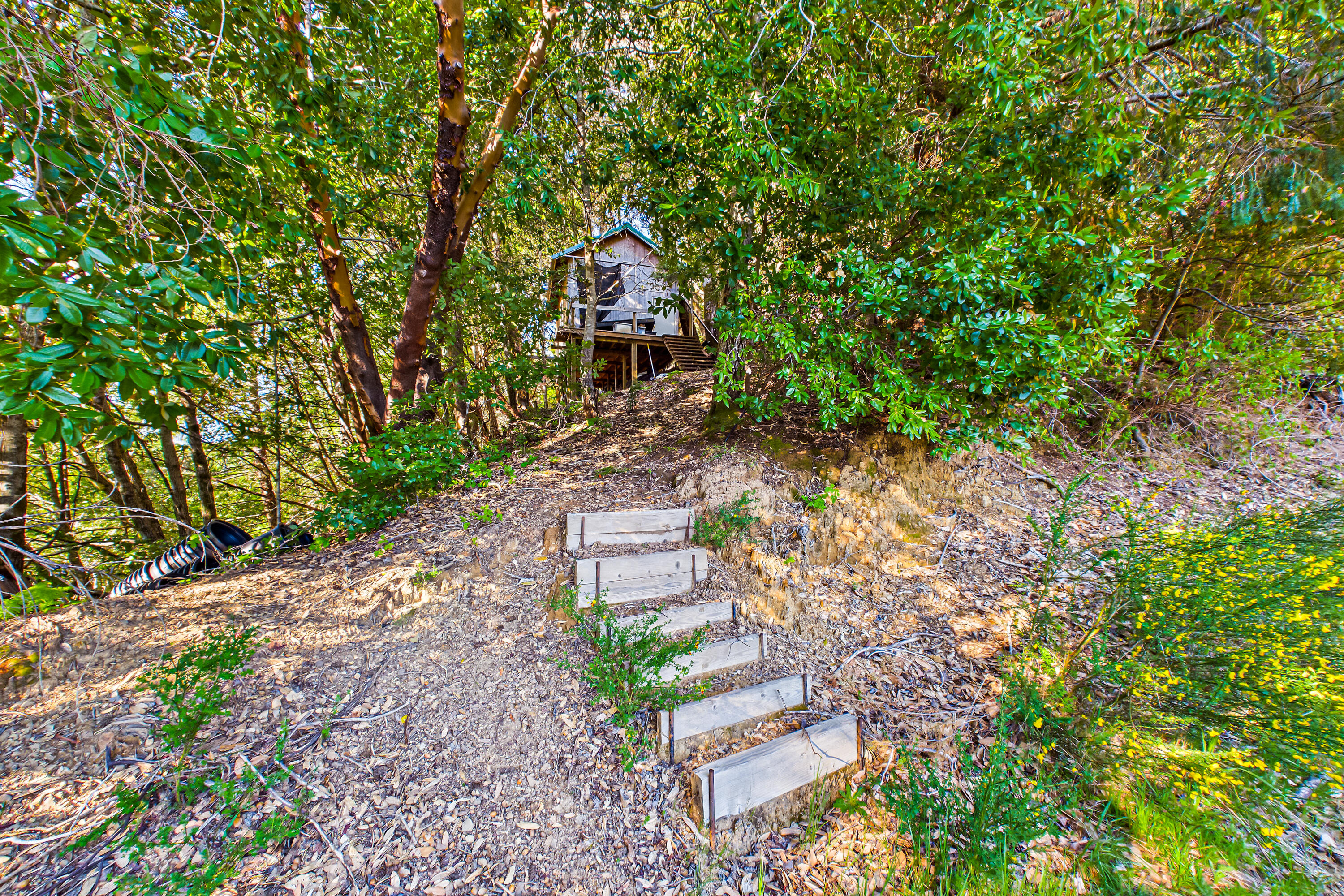 12600 Briceland Road Whitethorn, CA 95589 - Photo 98 of 111