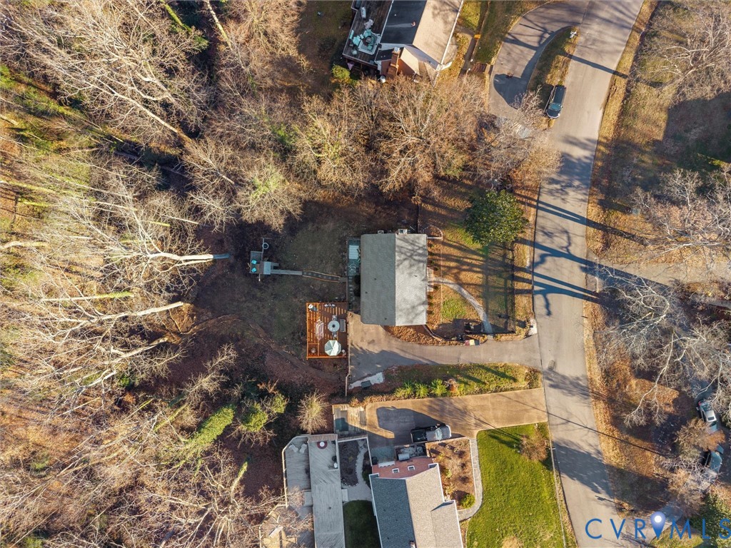 8636 Trabue Road Richmond, VA 23235 - Photo 48 of 50 Large lot of .60 acre with patio, deck, and treeho