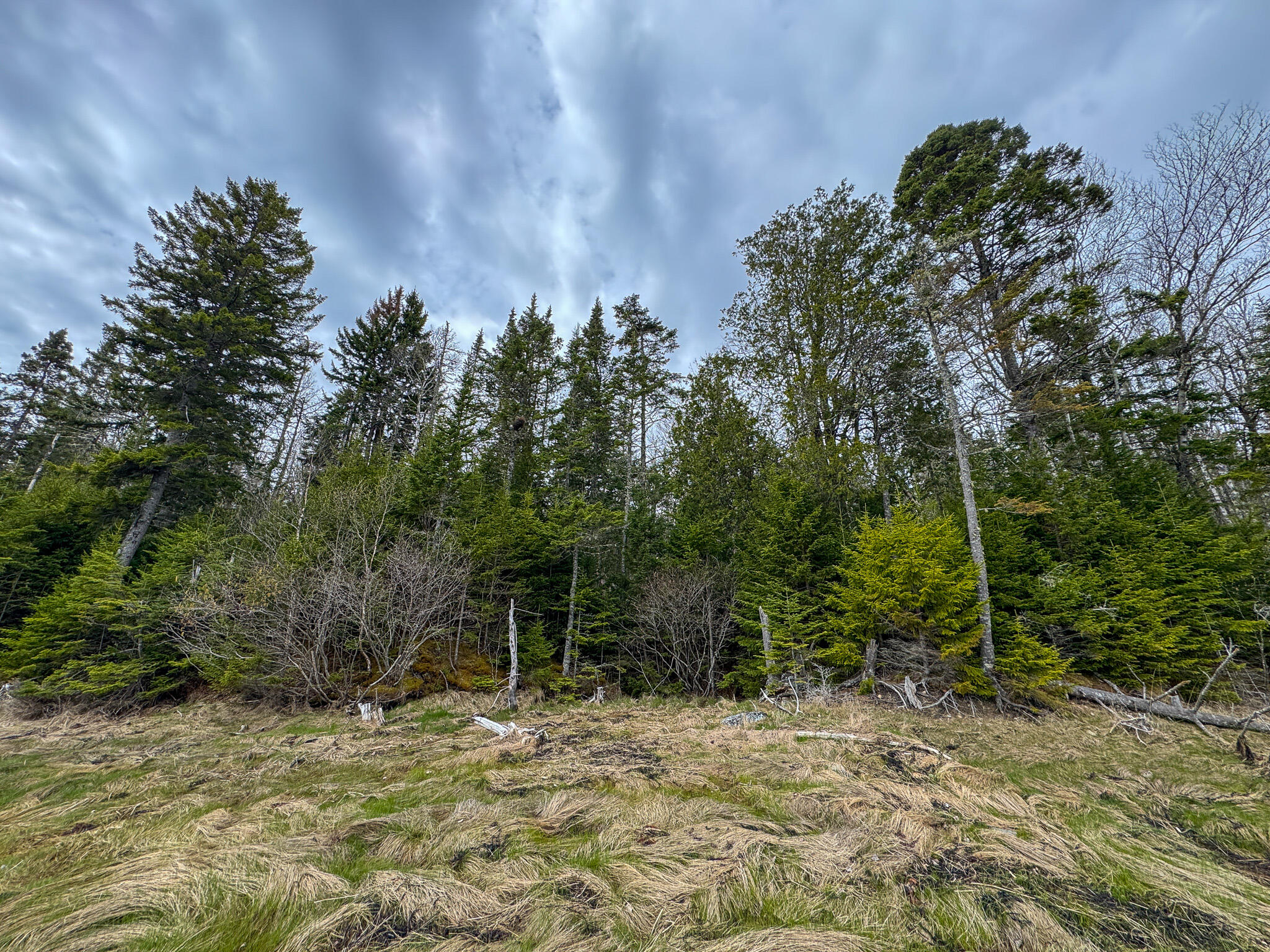 Lot 46 Yoho Head Road Machiasport, ME 04655 - Photo 18 of 22 IMG_4717