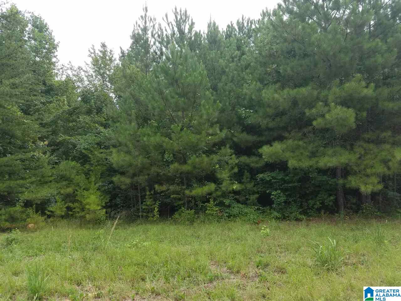 4 Charles Taylor Road, Unit 4 Vance, AL 35490 - Photo 4 of 6
