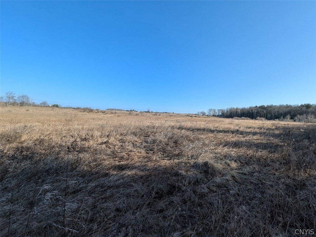 South Road Addison, NY 14801 - Photo 16 of 21