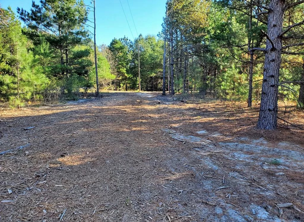 6331 Reynolds Road Blackville, SC 29817 - Photo 13 of 15 Gallery Image 13