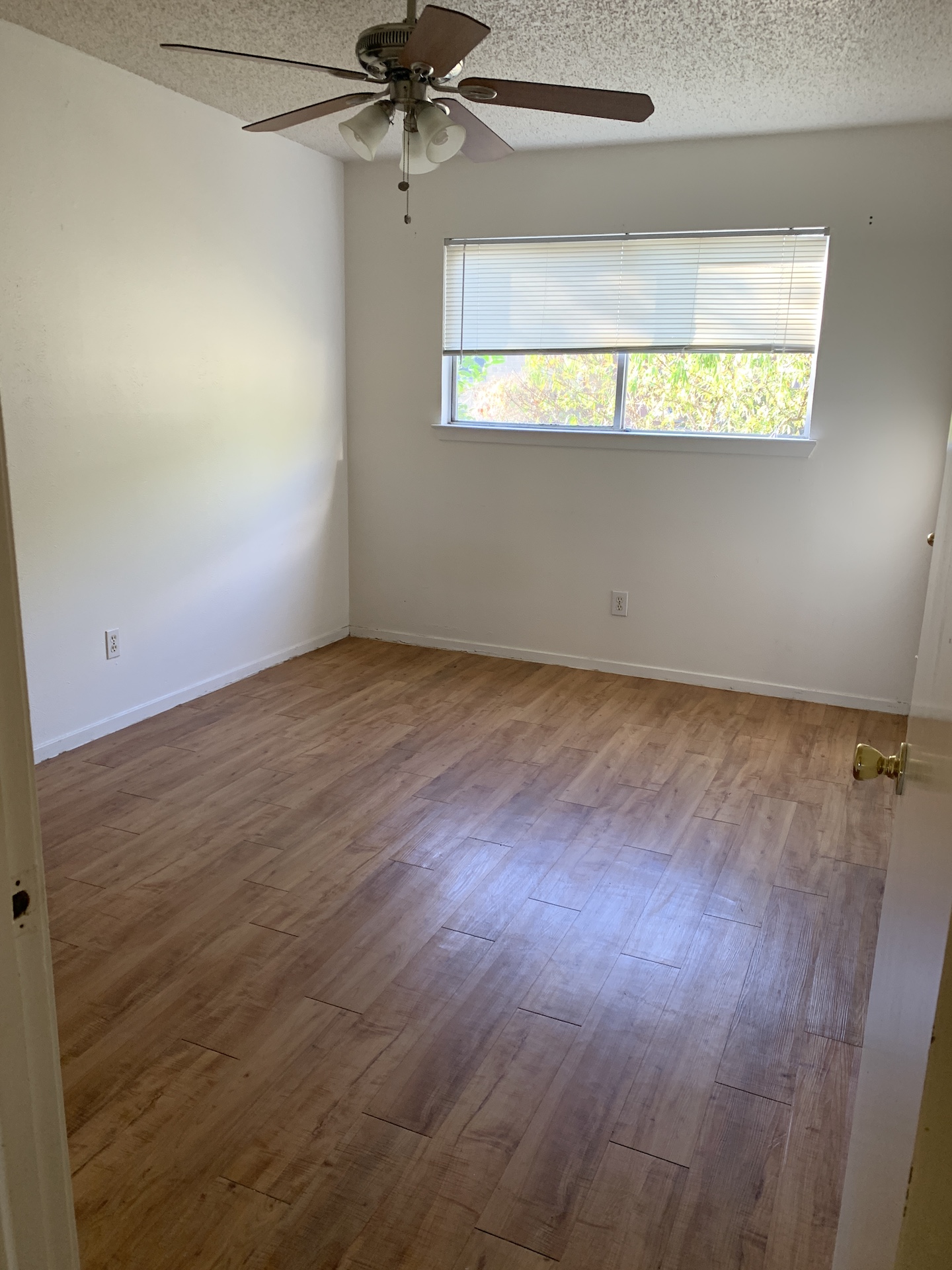 10810 Newmont Road, Unit 3 Austin, TX 78758 - Photo 7 of 8 Empty room with a textured ceiling, light wood-style floors, and a ceiling fan
