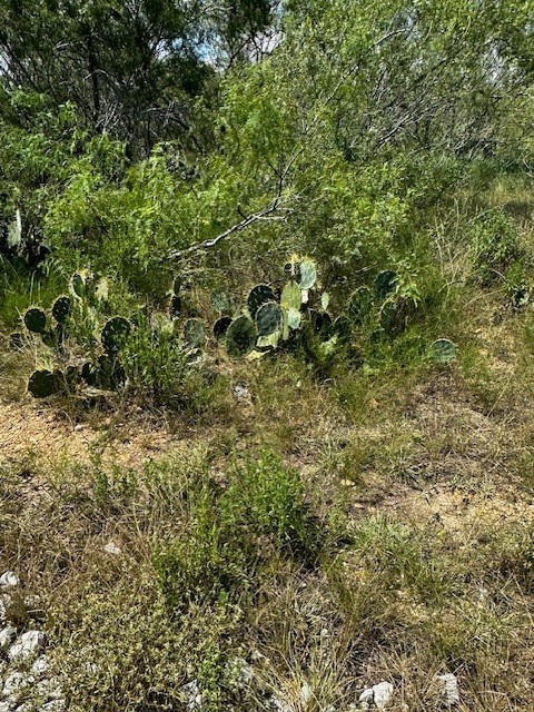 5 Private Road Waelder, TX 78959 - Photo 8 of 9
