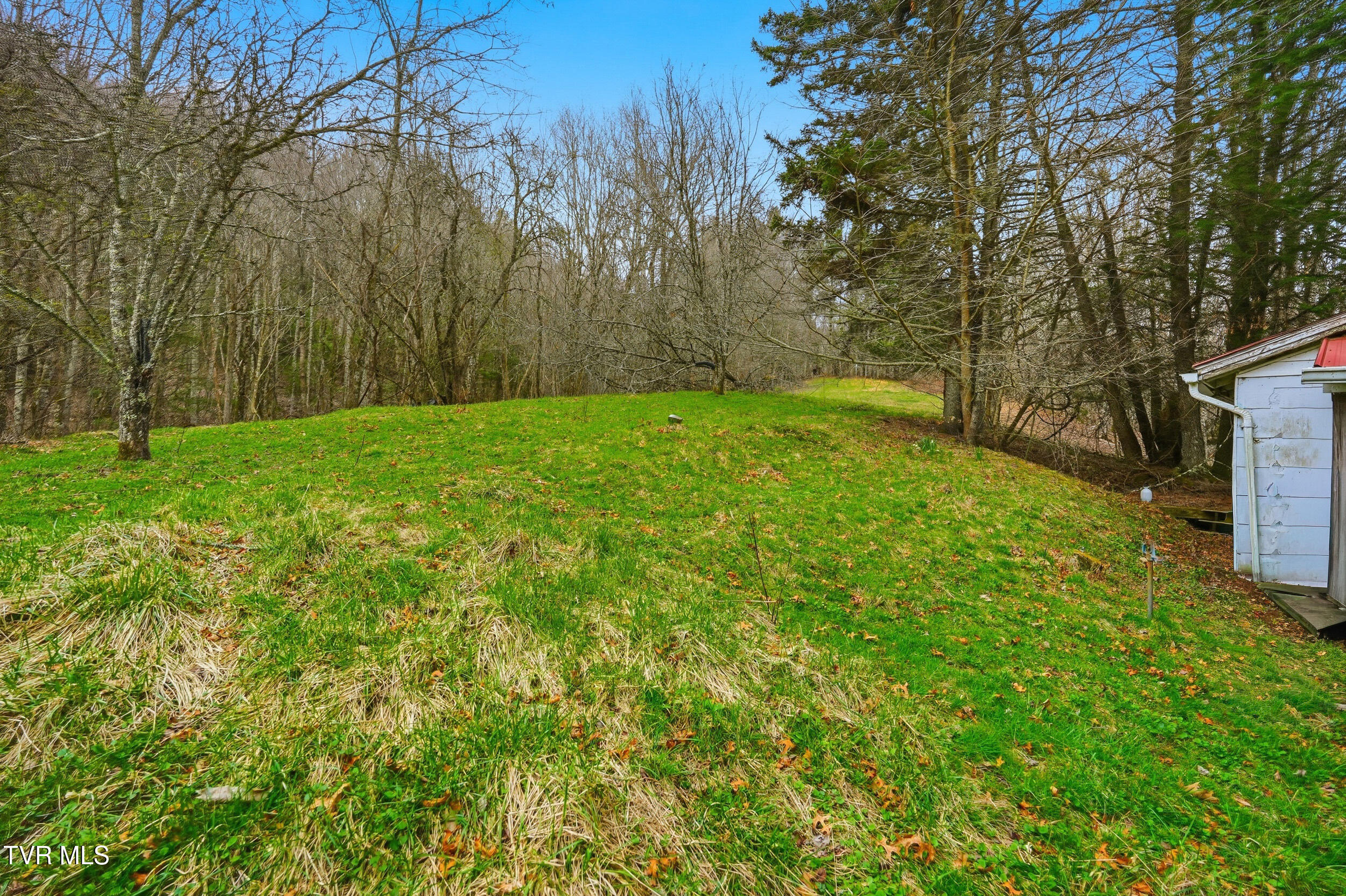 138 Birch Lane Damascus, VA 24236 - Photo 17 of 26 13_138 birch ln-21