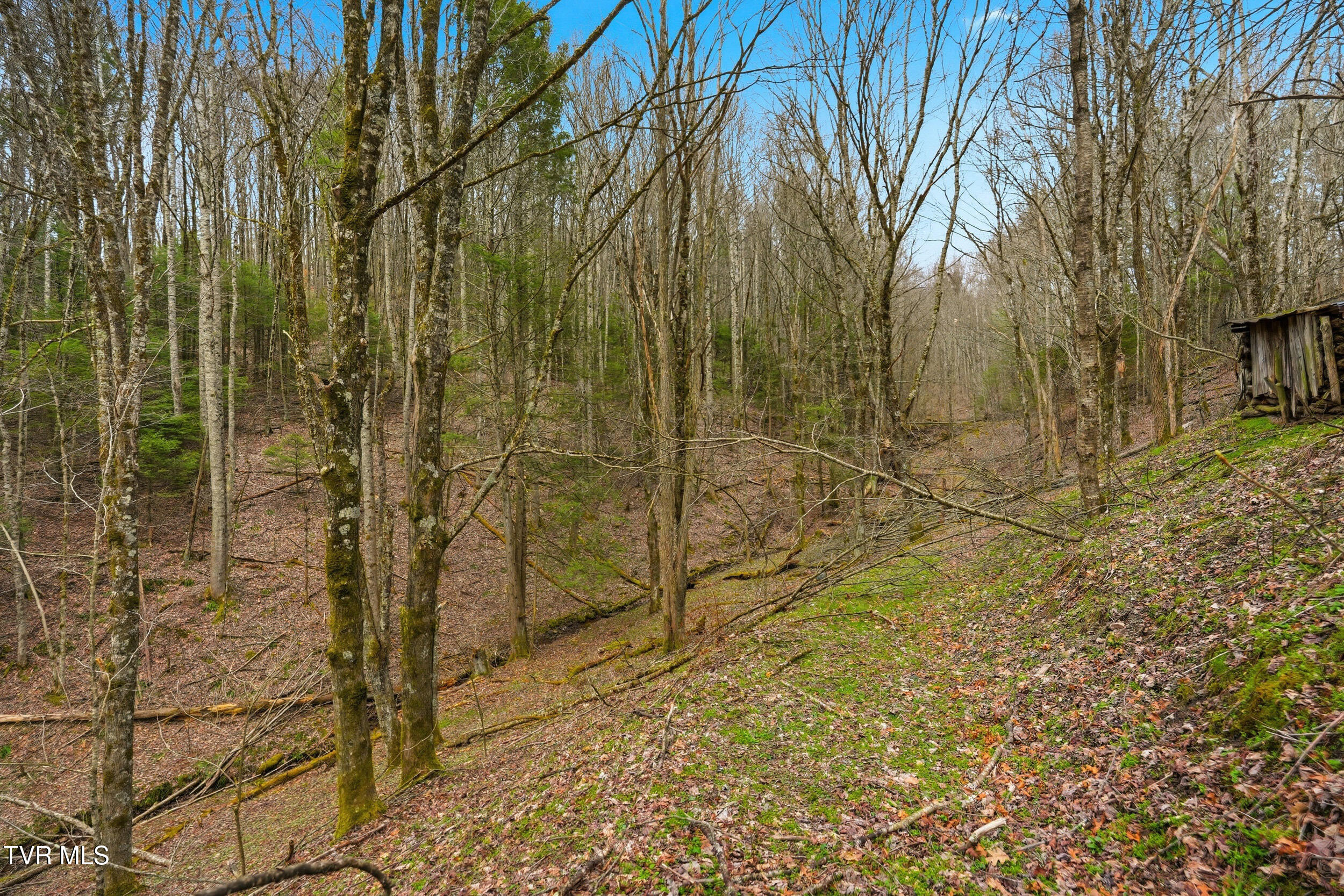 138 Birch Lane Damascus, VA 24236 - Photo 3 of 26 14_138 birch ln-22