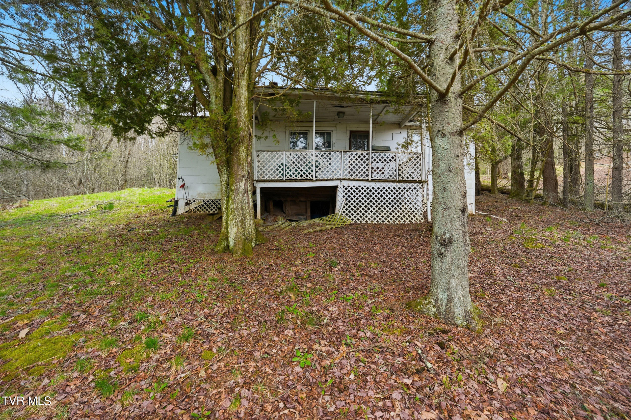 138 Birch Lane Damascus, VA 24236 - Photo 6 of 26 1_138 birch ln-16