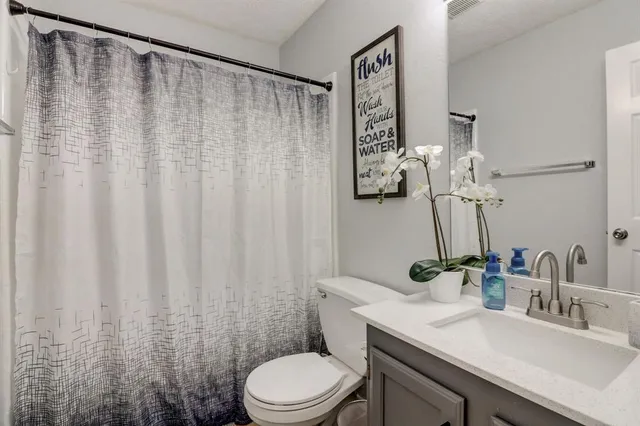 a bathroom with a sink a toilet and shower curtain