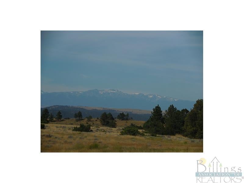 Lot 13 Michigan Ridge Columbus, MT 59019 - Photo 1 of 1 Gallery Image 1