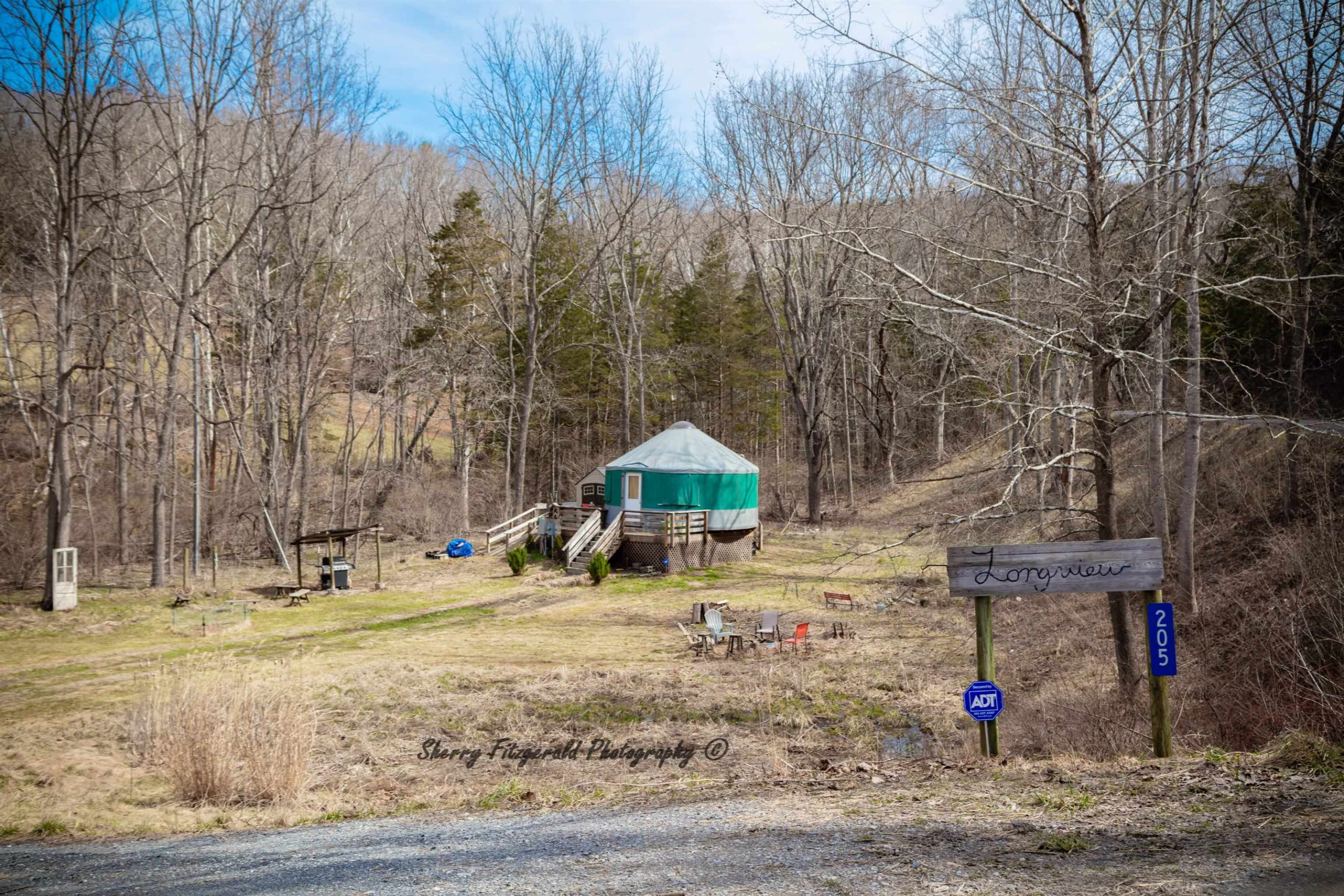 205 Gibbs Run Lane Raphine, VA 24472 - Photo 1 of 43 a backyard of a house with wooden floor