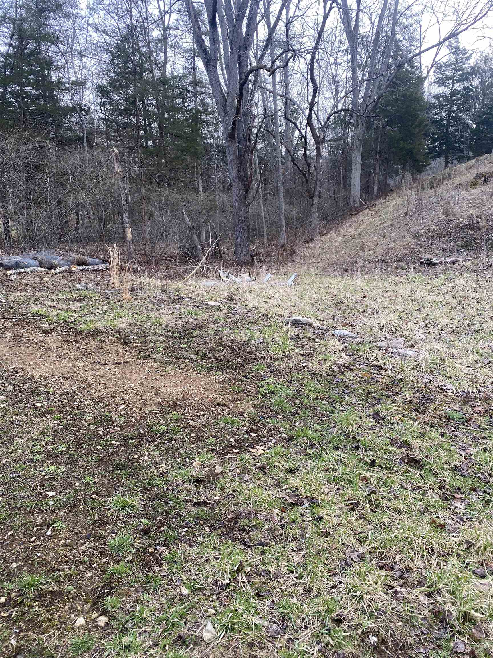 205 Gibbs Run Lane Raphine, VA 24472 - Photo 32 of 43 a view of fire pit with large trees